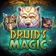 Druid's Magic screenshot